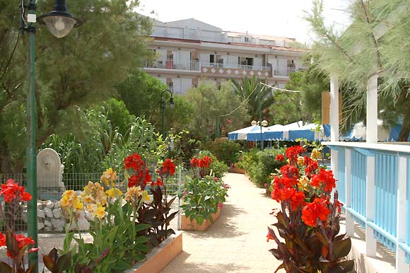 Garden of Summery hotel, Kefalonia (Ionian island). CLICK TO ENLARGE