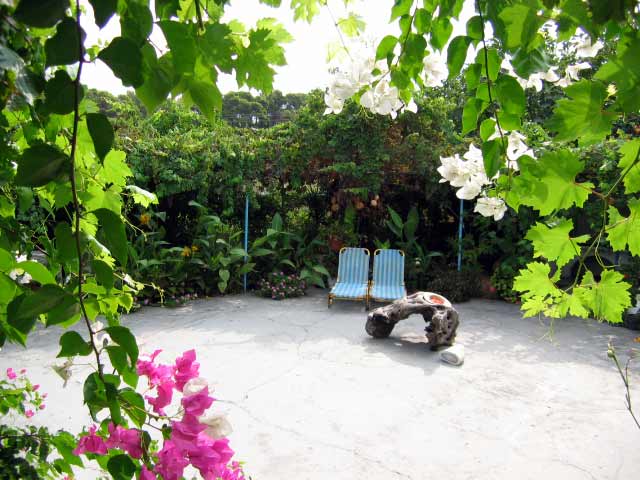 FANARI Photo of the Garden CLICK TO ENLARGE