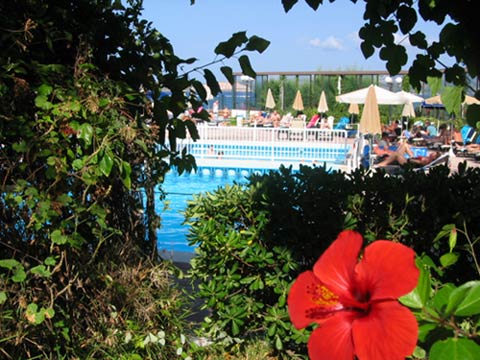 LASSI - Garden & Swimming Pool CLICK TO ENLARGE